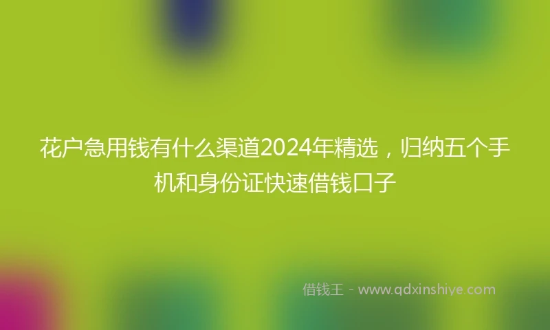 花户急用钱有什么渠道2024年精选,归纳五个手机和身份证快速借钱口子