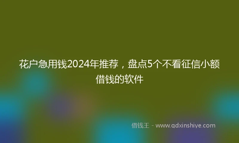 花户急用钱2024年推荐，盘点5个不看征信小额借钱的软件