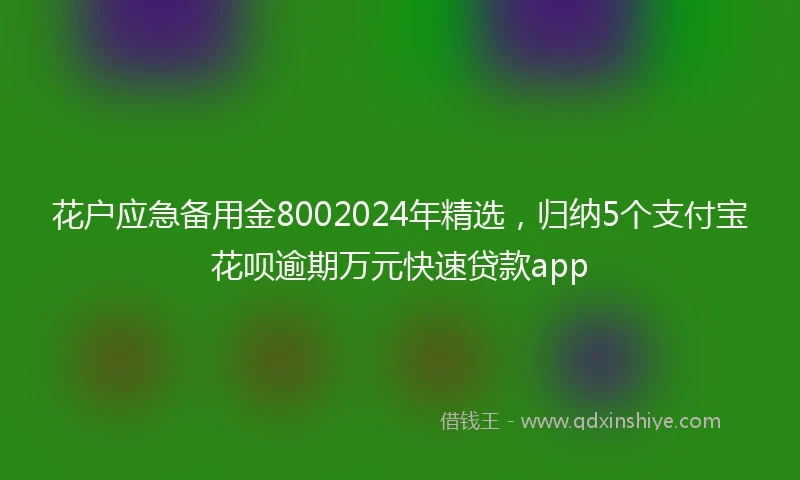 花户应急备用金8002024年精选，归纳5个支付宝花呗逾期万元快速贷款app