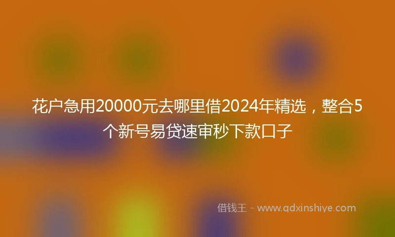 花户急用20000元去哪里借2024年精选，整合5个新号易贷速审秒下款口子