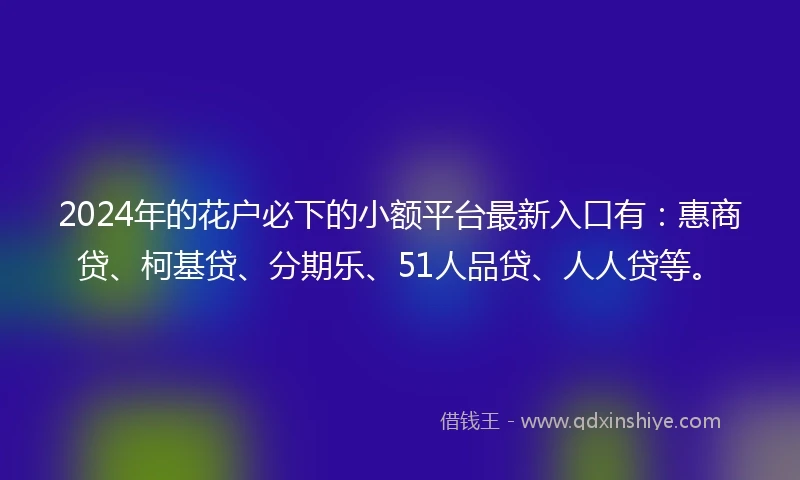 2024年的花户必下的小额平台最新入口有：惠商贷、柯基贷、分期乐、51人品贷、人人贷等。