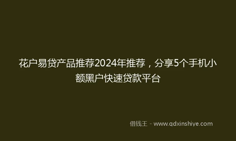 花户易贷产品推荐2024年推荐，分享5个手机小额黑户快速贷款平台