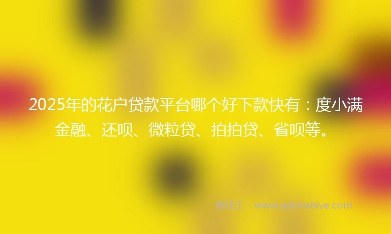 2025年的花户贷款平台哪个好下款快有：度小满金融、还呗、微粒贷、拍拍贷、省呗等。