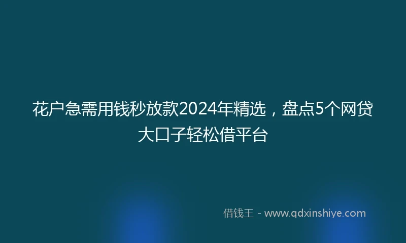 花户急需用钱秒放款2024年精选，盘点5个网贷大口子轻松借平台
