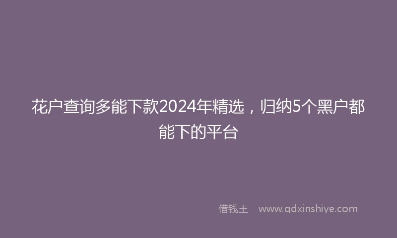 花户查询多能下款2024年精选，归纳5个黑户都能下的平台