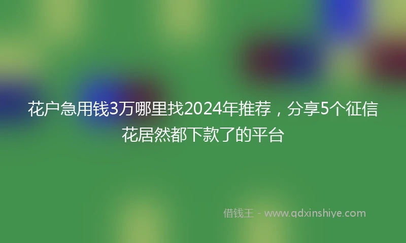 花户急用钱3万哪里找2024年推荐，分享5个征信花居然都下款了的平台
