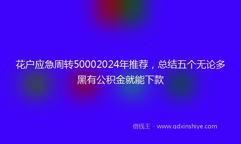 花户应急周转50002024年推荐，总结五个无论多黑有公积金就能下款