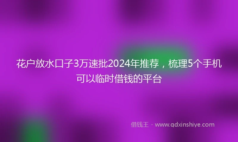 花户放水口子3万速批2024年推荐，梳理5个手机可以临时借钱的平台