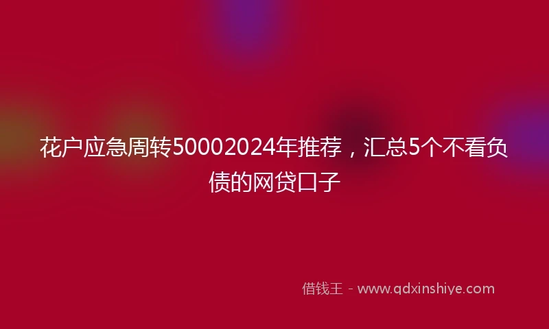 花户应急周转50002024年推荐，汇总5个不看负债的网贷口子