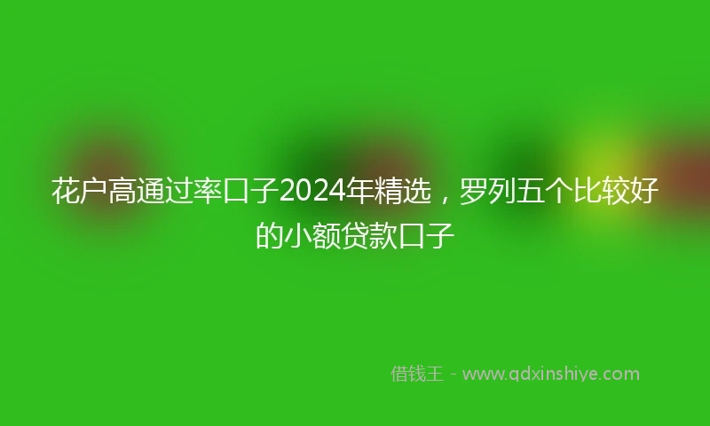 花户高通过率口子2024年精选，罗列五个比较好的小额贷款口子