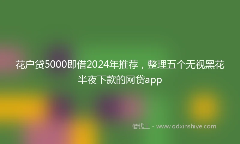 花户贷5000即借2024年推荐，整理五个无视黑花半夜下款的网贷app