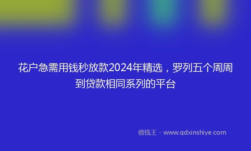 花户急需用钱秒放款2024年精选，罗列五个周周到贷款相同系列的平台