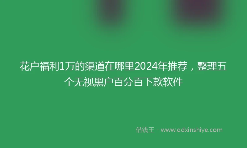 花户福利1万的渠道在哪里2024年推荐，整理五个无视黑户百分百下款软件