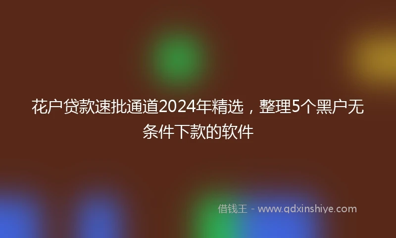 花户贷款速批通道2024年精选，整理5个黑户无条件下款的软件
