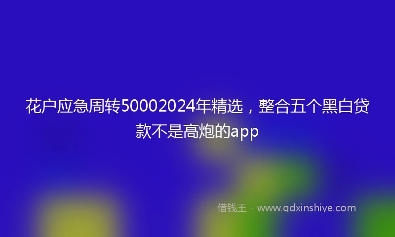 花户应急周转50002024年精选,整合五个黑白贷款不是高炮的app