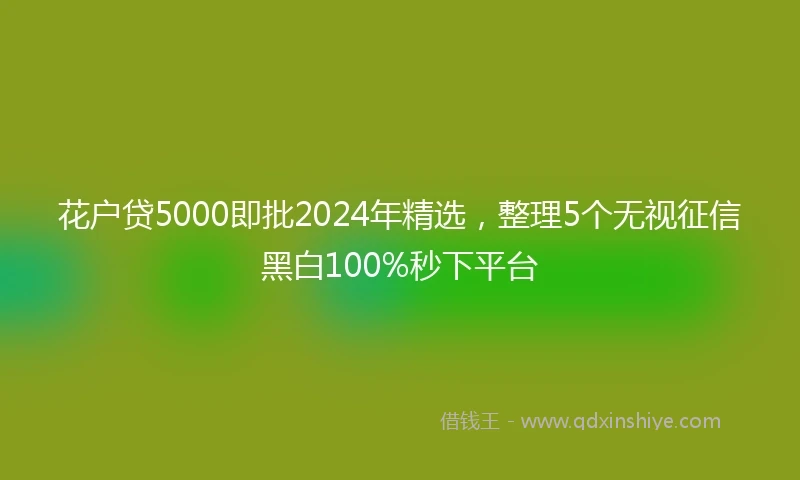 花户贷5000即批2024年精选，整理5个无视征信黑白100%秒下平台