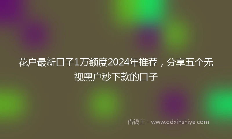 花户最新口子1万额度2024年推荐，分享五个无视黑户秒下款的口子