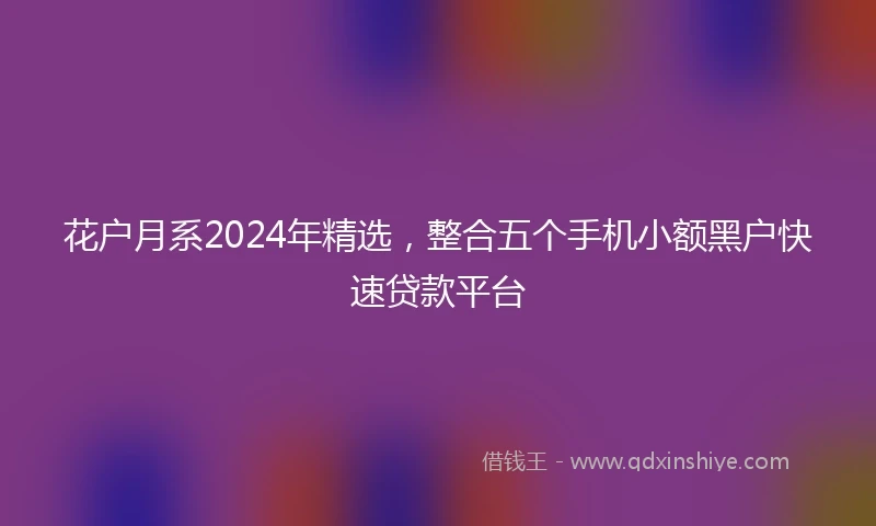 花户月系2024年精选，整合五个手机小额黑户快速贷款平台