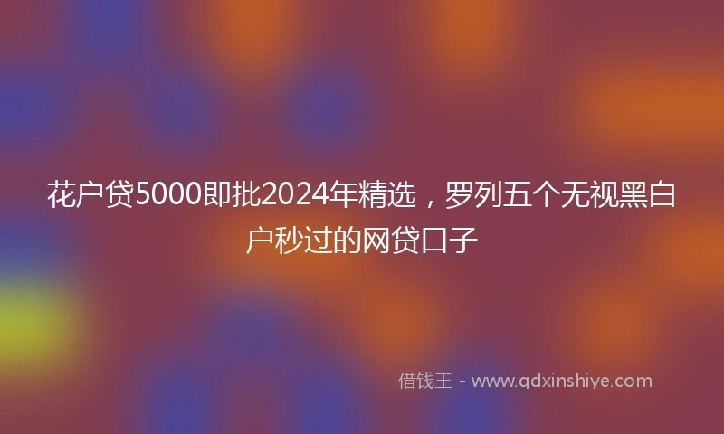 花户贷5000即批2024年精选，罗列五个无视黑白户秒过的网贷口子