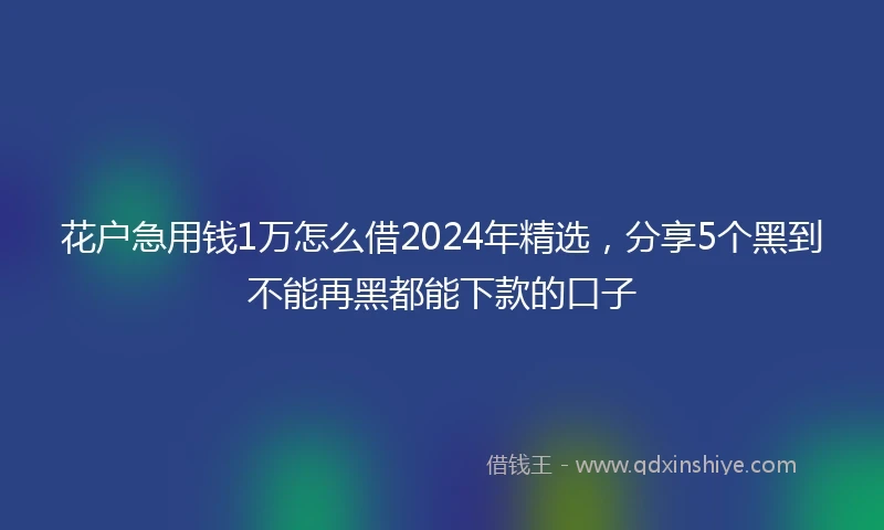 花户急用钱1万怎么借2024年精选，分享5个黑到不能再黑都能下款的口子