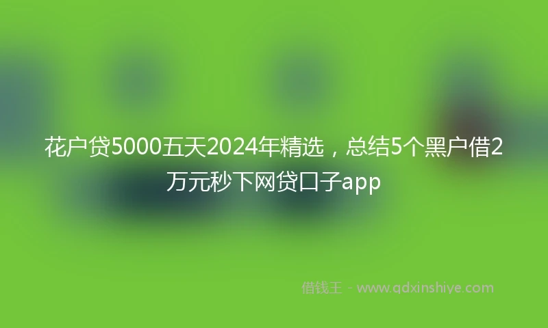 花户贷5000五天2024年精选，总结5个黑户借2万元秒下网贷口子app