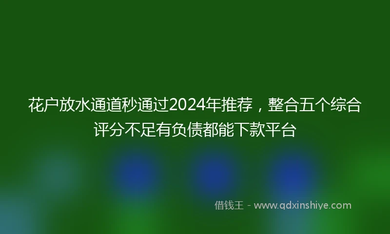 花户放水通道秒通过2024年推荐，整合五个综合评分不足有负债都能下款平台