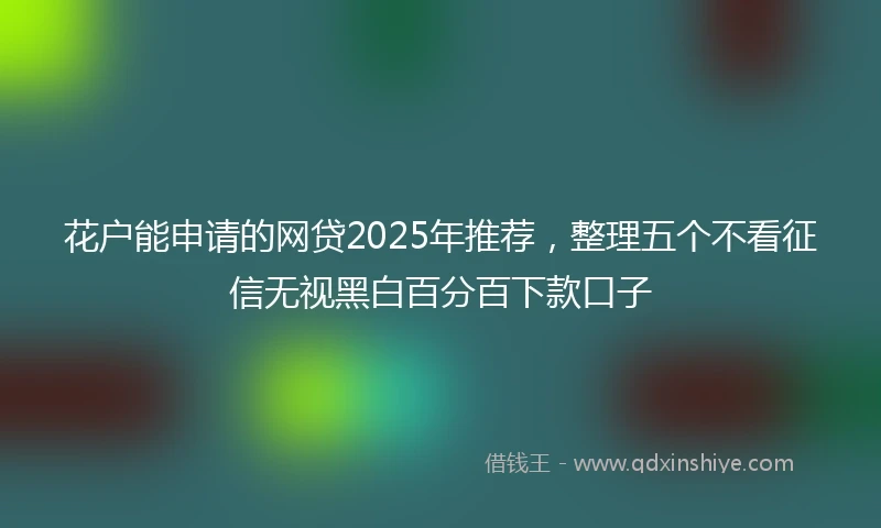 花户能申请的网贷2025年推荐，整理五个不看征信无视黑白百分百下款口子
