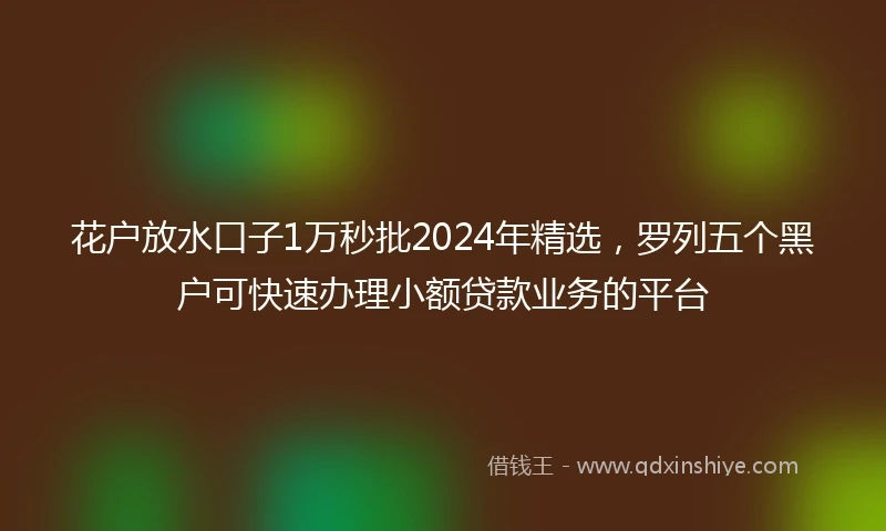 花户放水口子1万秒批2024年精选，罗列五个黑户可快速办理小额贷款业务的平台
