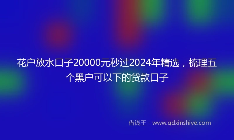 花户放水口子20000元秒过2024年精选，梳理五个黑户可以下的贷款口子