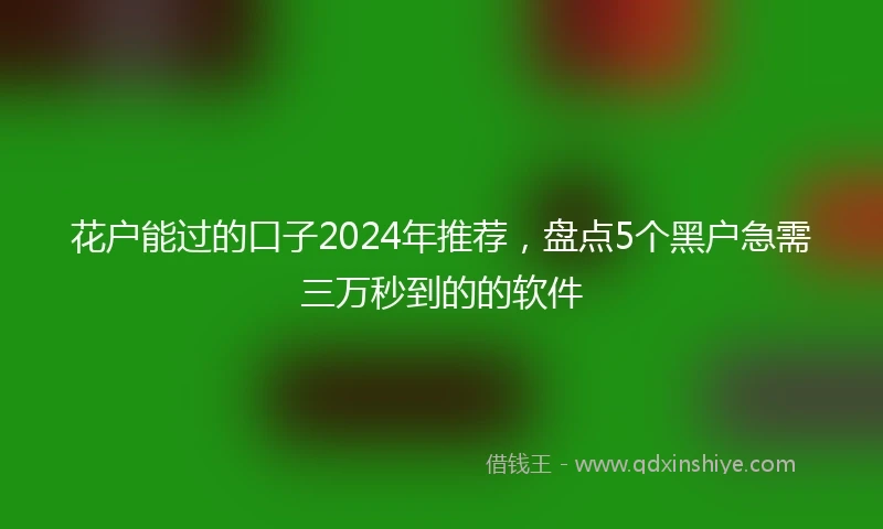 花户能过的口子2024年推荐，盘点5个黑户急需三万秒到的的软件