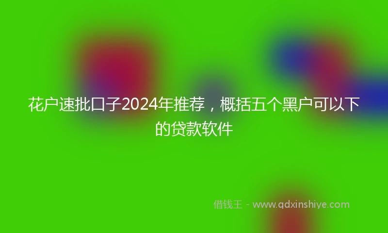 花户速批口子2024年推荐，概括五个黑户可以下的贷款软件