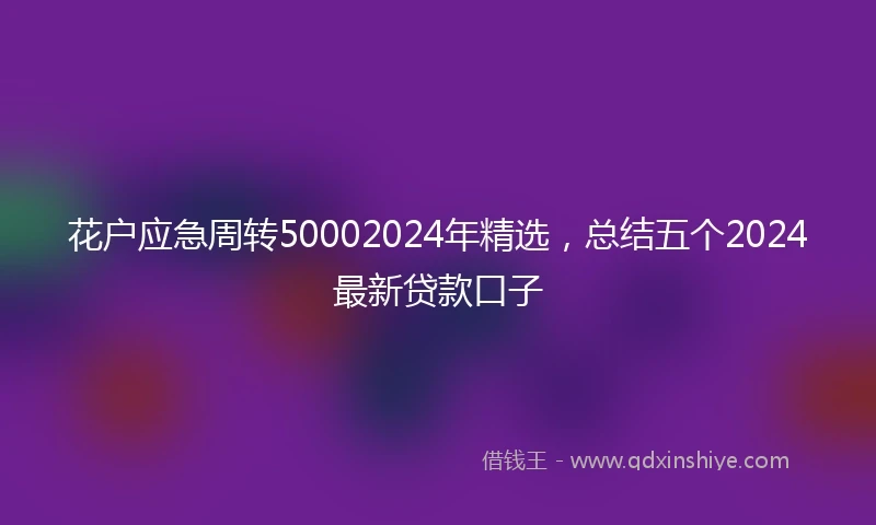 花户应急周转50002024年精选，总结五个2024最新贷款口子