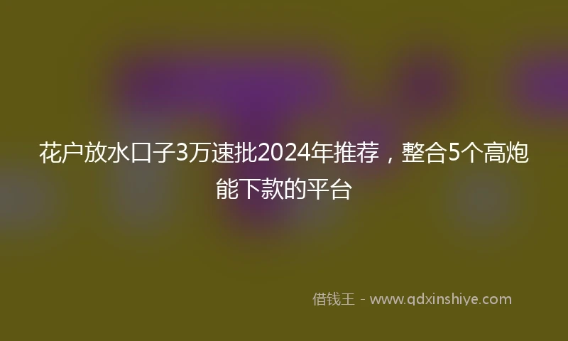 花户放水口子3万速批2024年推荐，整合5个高炮能下款的平台