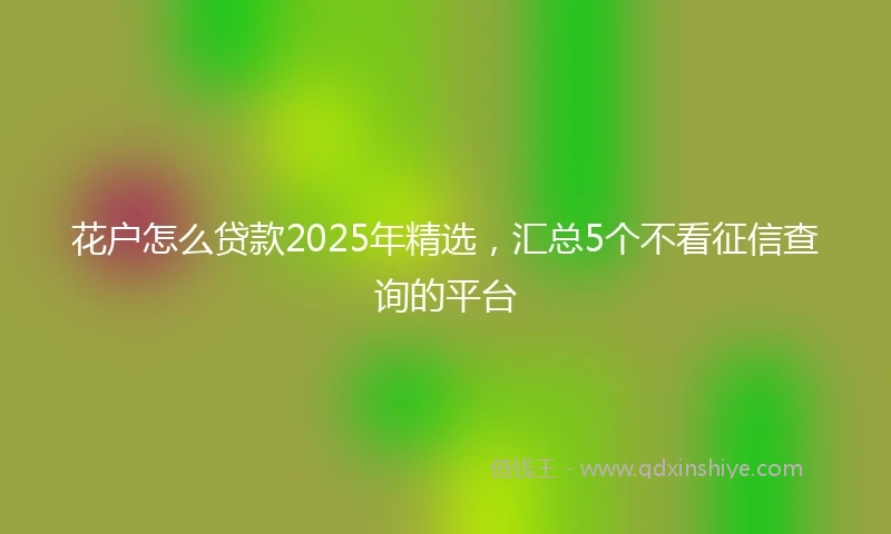 花户怎么贷款2025年精选,汇总5个不看征信查询的平台