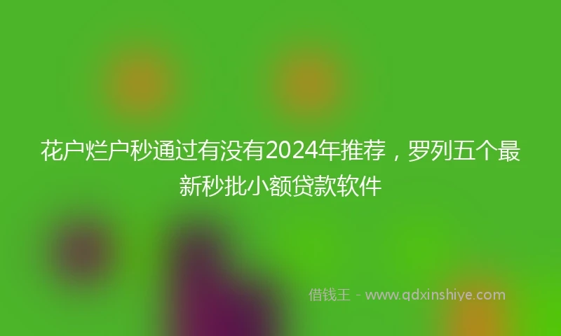花户烂户秒通过有没有2024年推荐，罗列五个最新秒批小额贷款软件