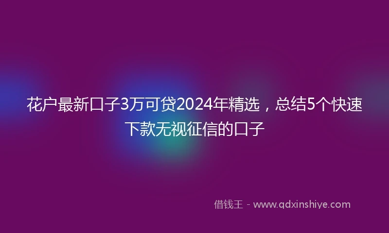 花户最新口子3万可贷2024年精选，总结5个快速下款无视征信的口子
