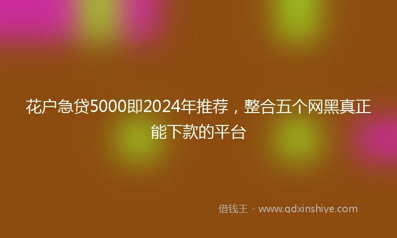 花户急贷5000即2024年推荐，整合五个网黑真正能下款的平台
