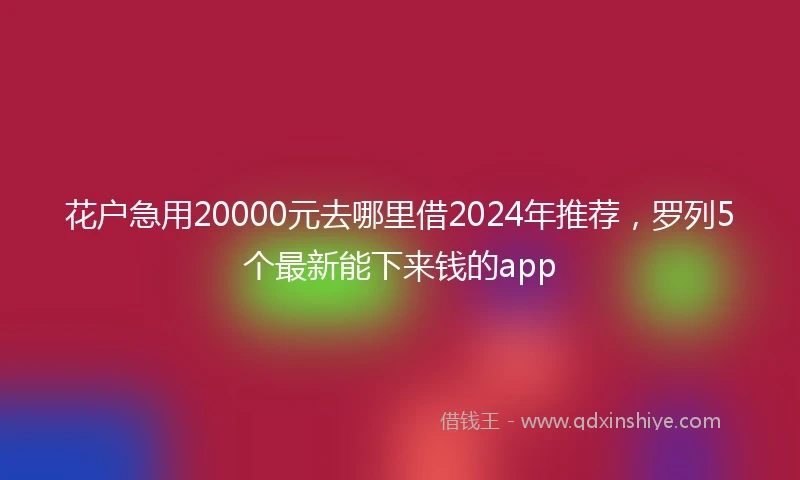 花户急用20000元去哪里借2024年推荐，罗列5个最新能下来钱的app