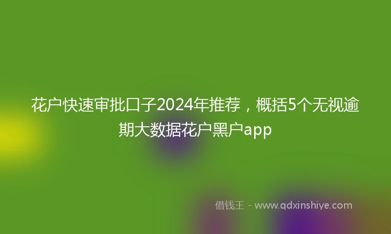 花户快速审批口子2024年推荐，概括5个无视逾期大数据花户黑户app