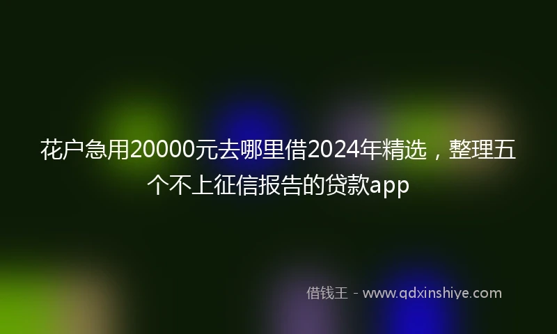 花户急用20000元去哪里借2024年精选，整理五个不上征信报告的贷款app