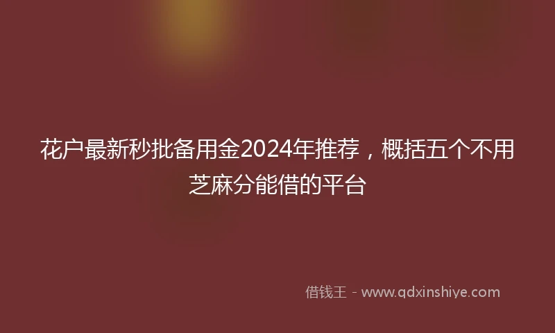 花户最新秒批备用金2024年推荐，概括五个不用芝麻分能借的平台
