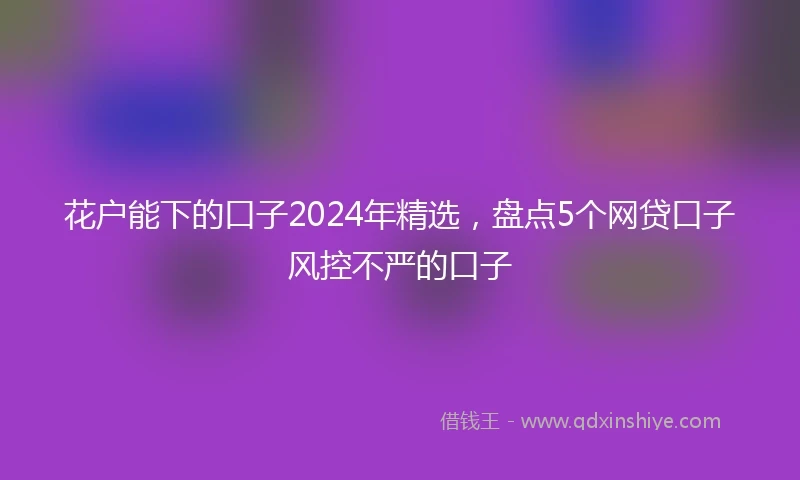 花户能下的口子2024年精选，盘点5个网贷口子风控不严的口子