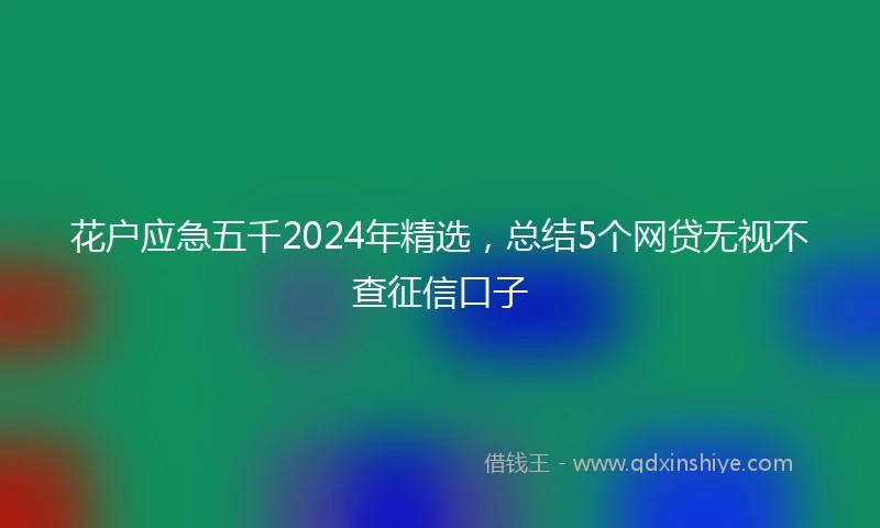 花户应急五千2024年精选，总结5个网贷无视不查征信口子