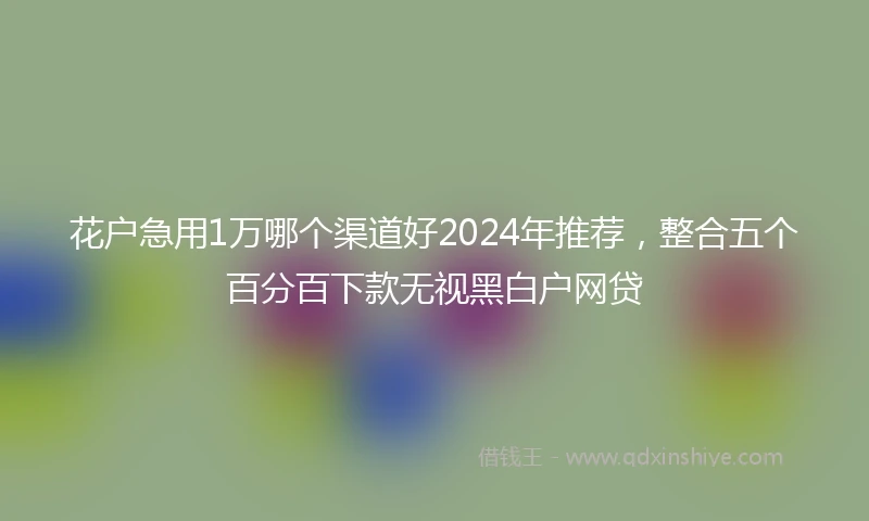花户急用1万哪个渠道好2024年推荐，整合五个百分百下款无视黑白户网贷