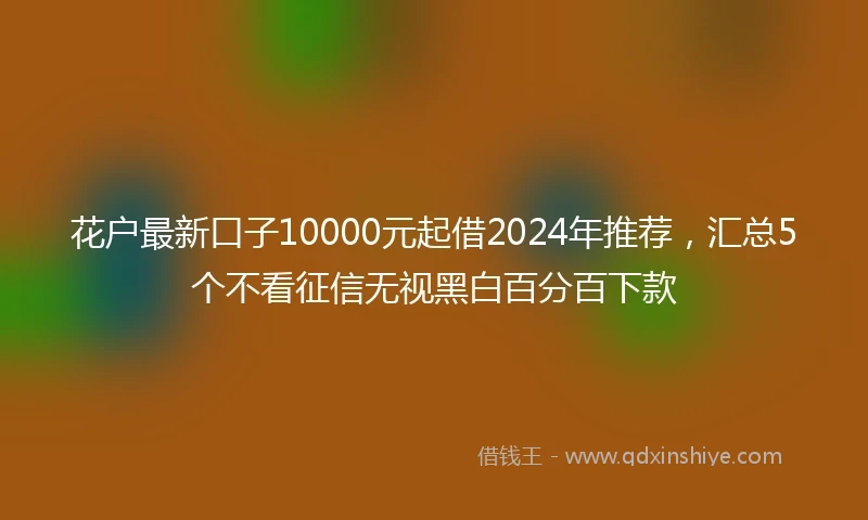 花户最新口子10000元起借2024年推荐，汇总5个不看征信无视黑白百分百下款