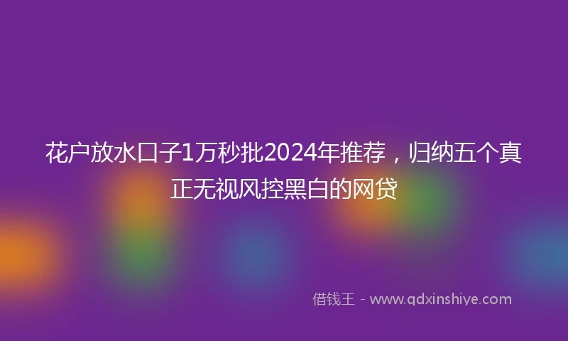 花户放水口子1万秒批2024年推荐，归纳五个真正无视风控黑白的网贷