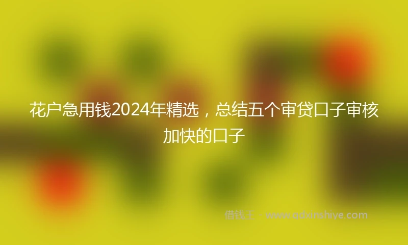 花户急用钱2024年精选，总结五个审贷口子审核加快的口子