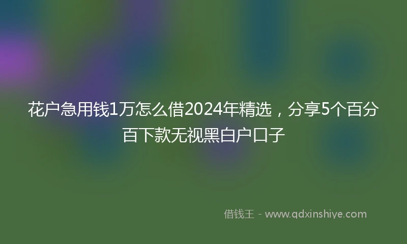 花户急用钱1万怎么借2024年精选，分享5个百分百下款无视黑白户口子