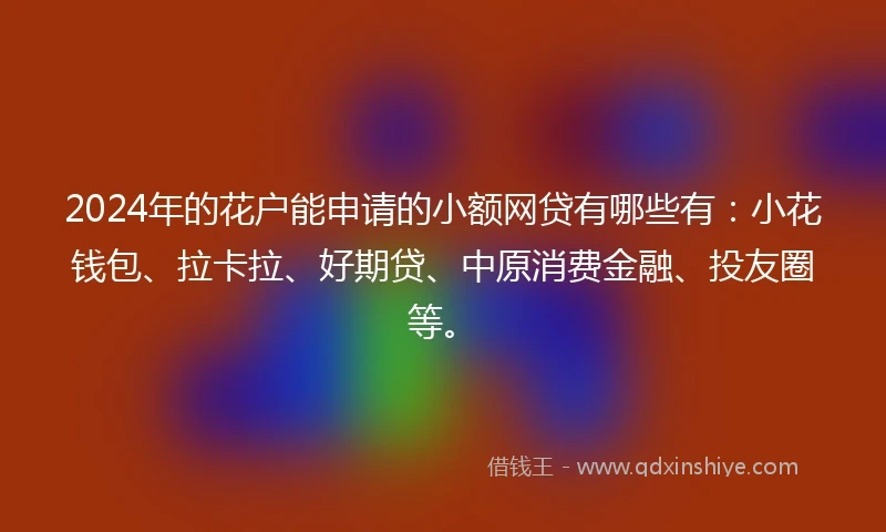 2024年的花户能申请的小额网贷有哪些有：小花钱包、拉卡拉、好期贷、中原消费金融、投友圈等。