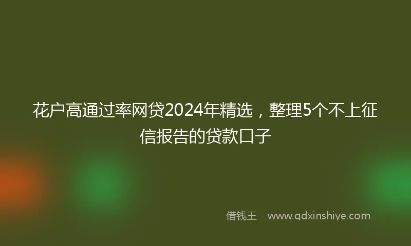 花户高通过率网贷2024年精选，整理5个不上征信报告的贷款口子